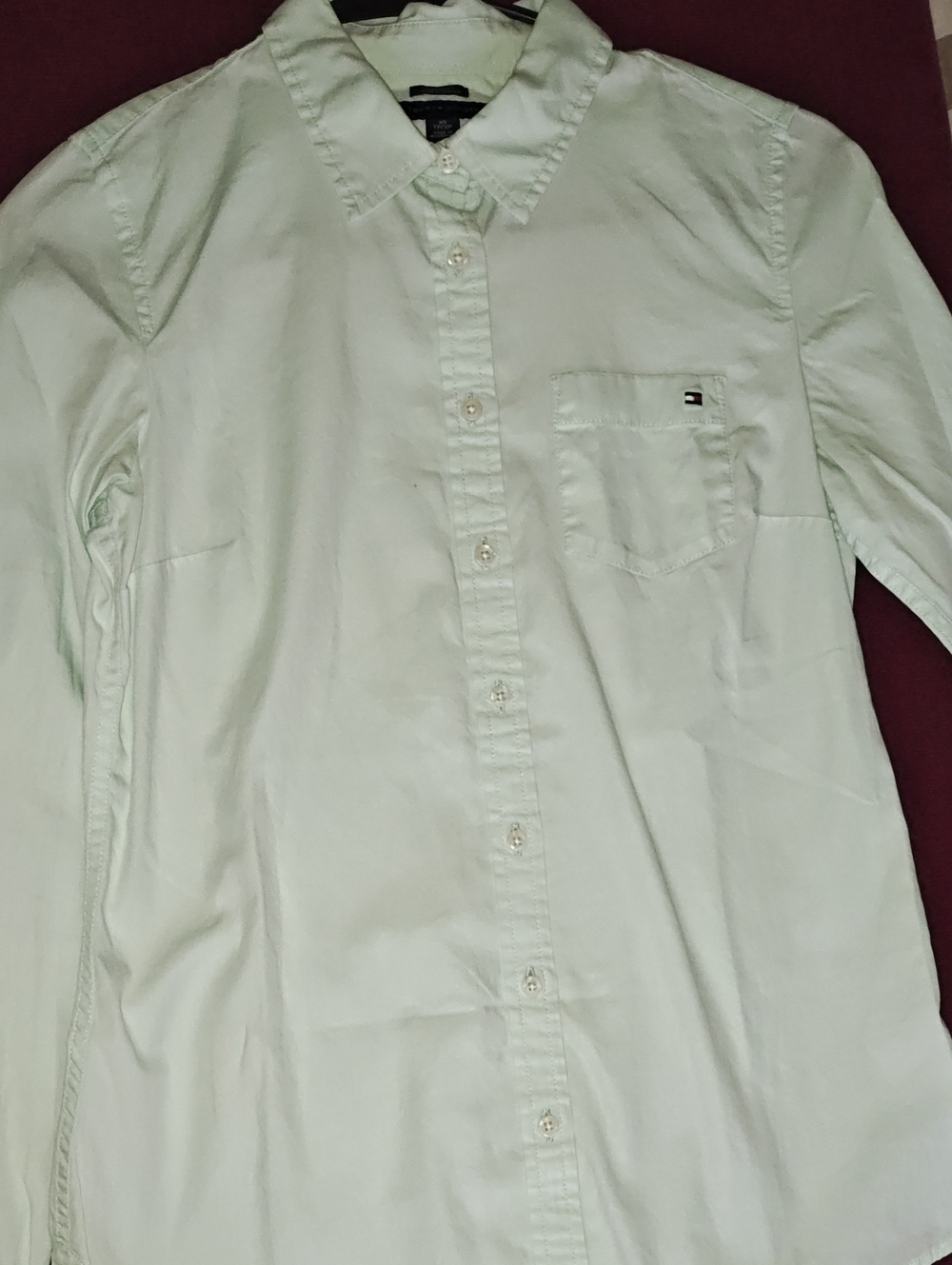 Tommy Hilfiger Men's Light Mint Green Casual Button-Down Shirt
